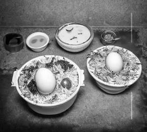 Egg Dum Biryani