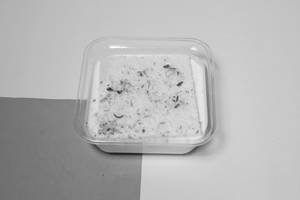 Rasmalai Pastry