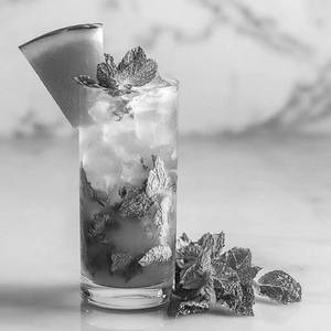 Watermelon Mojito