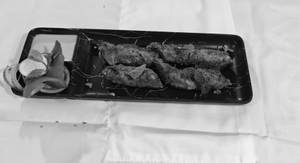 Mutton seekh kebab [4 pieces]