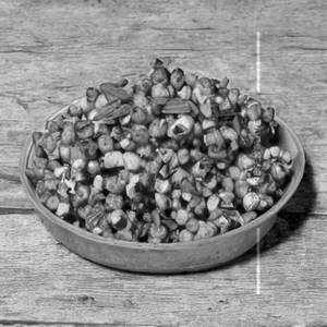 Crispy Corn