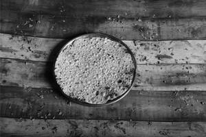 Plain Papad