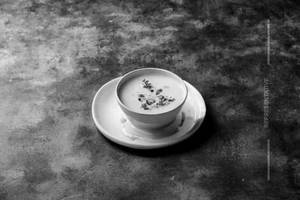 Cream of mushroom soup