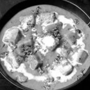 Paneer Butter Masala