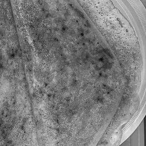 Pepper (milagu) Roast Dosai