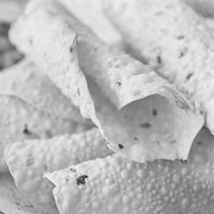 Roasted Papad