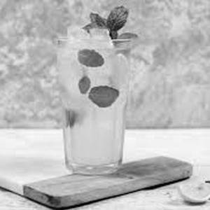 Mint Lime Mojito