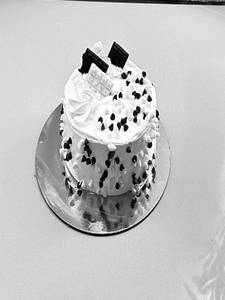 Vanilla Chocochip Ice Cream Cake 500 Grams