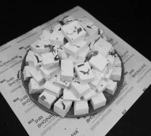 Fresh Paneer