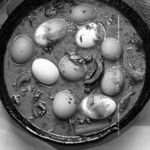 Egg Curry