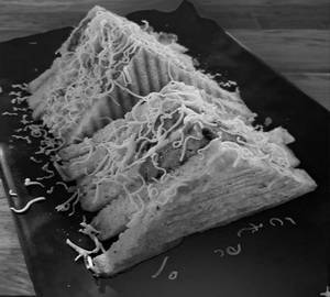 Layer sandwich [triple]