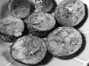 Begun bhaja (2 pcs)