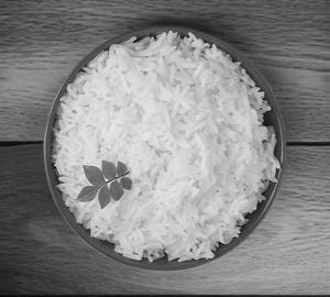Plain Rice