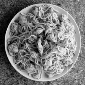 Chicken noodels