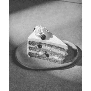 Vanilla Blueberry Cake Slice