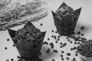 Choco Chip Muffin