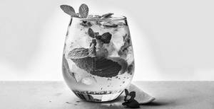 Virgin Mojito
