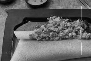 Spring Dosa