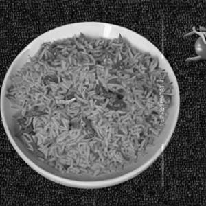 Tomato rice
