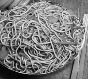 Veg Chilly Garlic Noodles (Full)