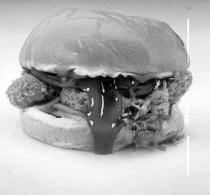 Mushroom  Momo Burger