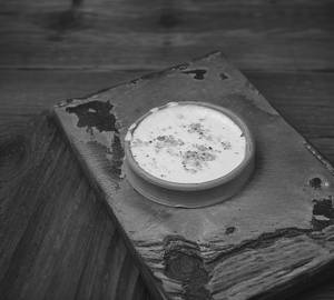 Kesar phirni