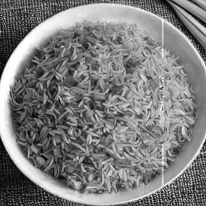 Veg yung chung fried rice 
