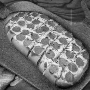 Pepperoni Garlic Bread