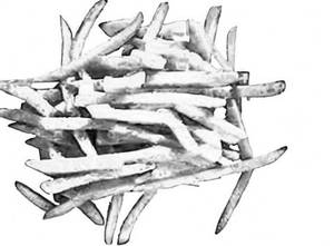 Ttf Special Fries [Medium]