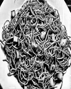 Veg Schezwan Hakka Noodles
