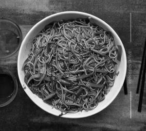 Egg Hakka Noodles