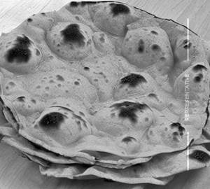 Missi roti