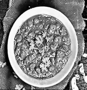 Matar mushroom masala