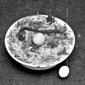 Egg maggie biriyani