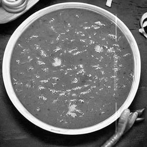 Kali Mirch Gravy
