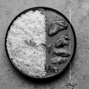 Chicken rice