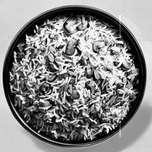 Mushroom Rice