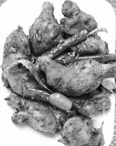 Chicken Oil Fry