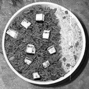 Paneer Mushroom Rice