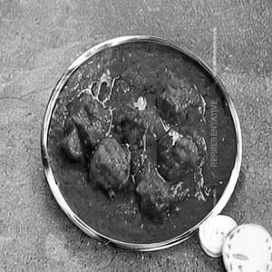 Mutton Do Payaz