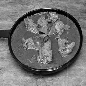 Chicken Agri Lapeta
