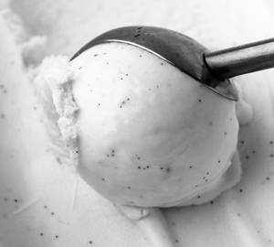 French Vanilla Bean Gelato 100Grms