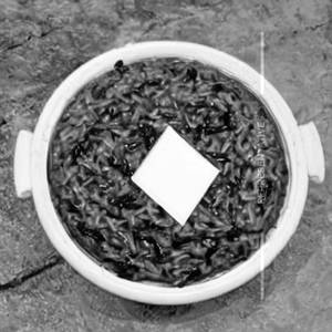 Palak Rice