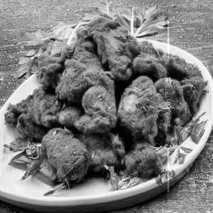 Gulzar chicken starters