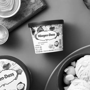 Macadamia Nut Ice Cream Pint (450 grams)