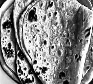 Plain paratha
