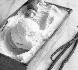 French Vanilla Bean Gelato 100Grms