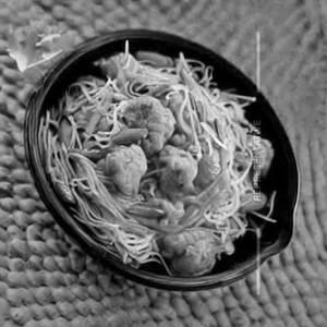 Veg Rice Noodles Gobi Mix