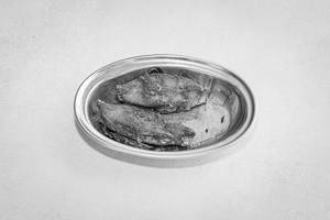 Fish Fry (fish Meals Fish)