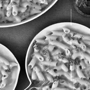 Mushroom Tomato Cheese Macaroni